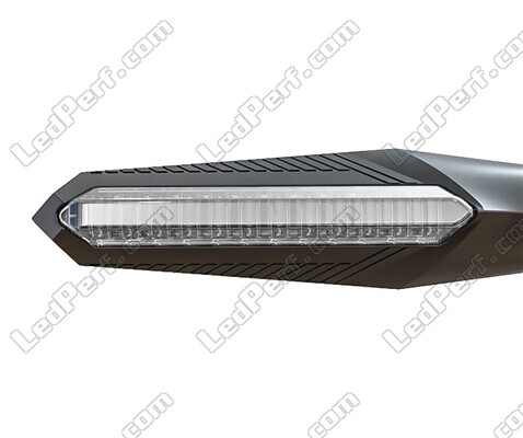 Front view of dynamic LED turn signals + brake lights for Aprilia RS 50 (2006 - 2010)