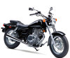 Motorcycle Suzuki Marauder 250 (2002 - 2012)