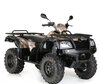 ATV CFMOTO Terralander 500 (2009 - 2014) (2009 - 2014)